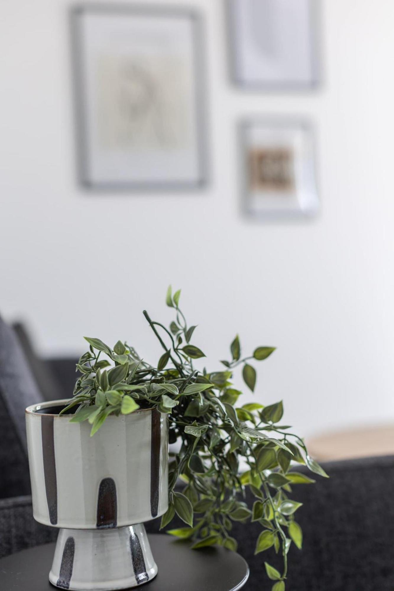 Apartments Antico Trogir Ngoại thất bức ảnh